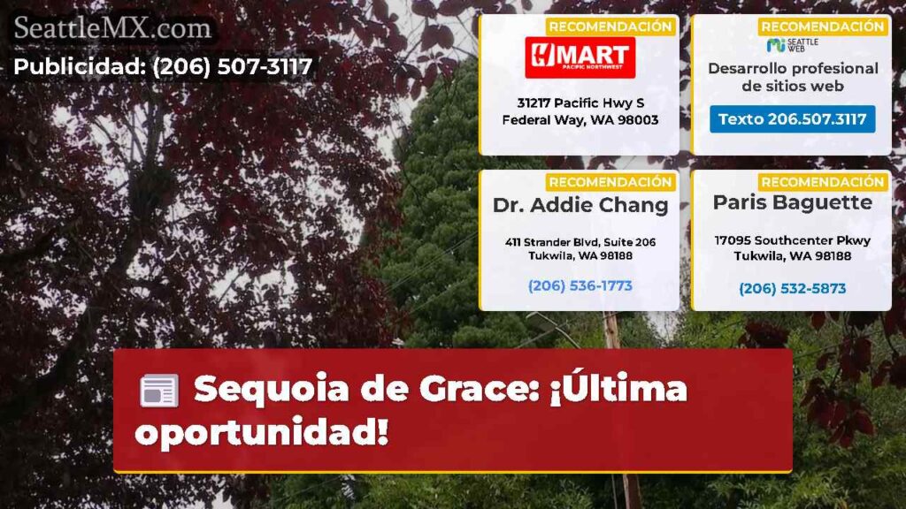 Sequoia de Grace: ¡Última oportunidad!
