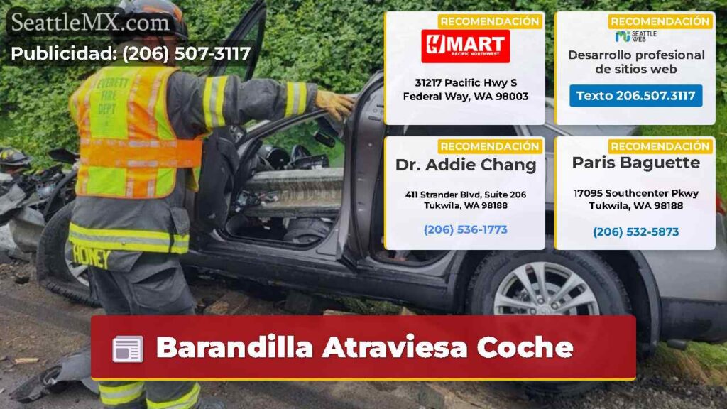 Barandilla Atraviesa Coche
