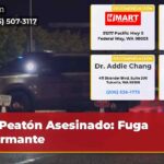 Peatón Asesinado Fuga Alarmante