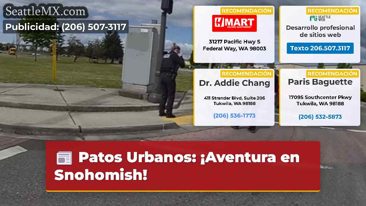 Noticias de Seattle SeattleMX