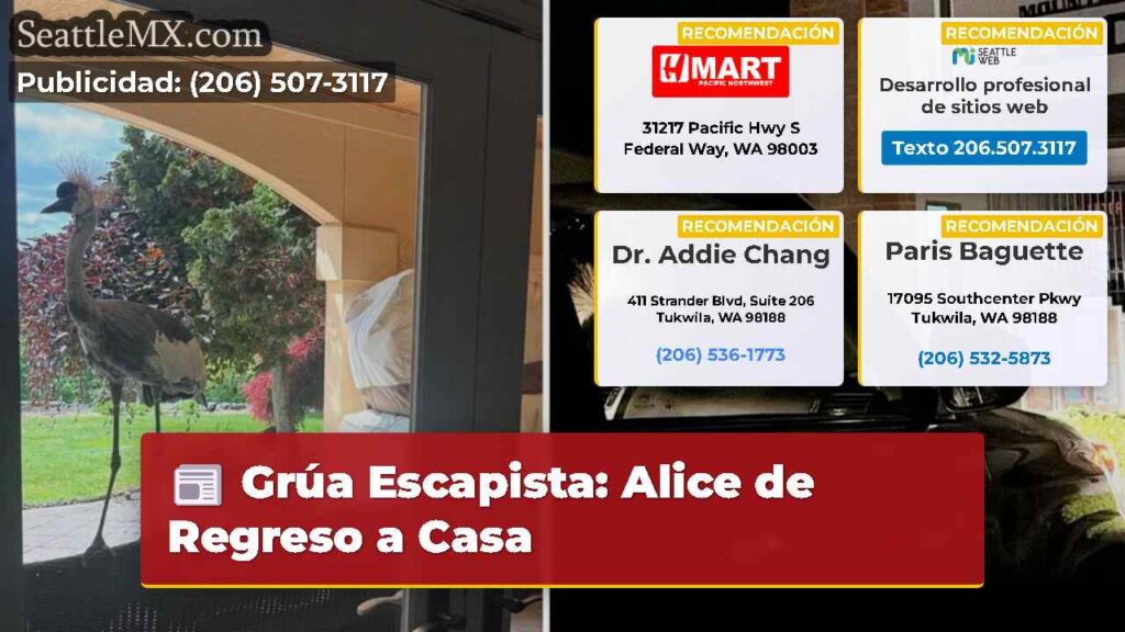 Grúa Escapista: Alice de Regreso a Casa