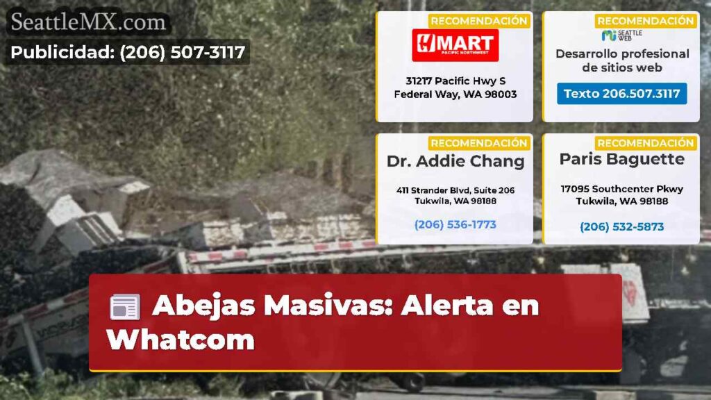 Abejas Masivas: Alerta en Whatcom