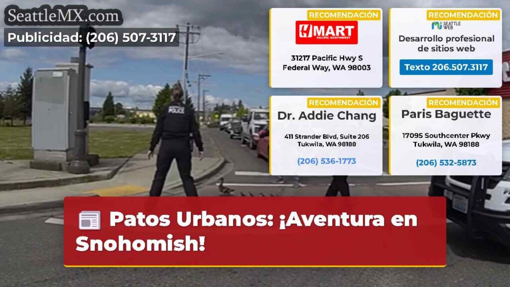 Patos Urbanos: ¡Aventura en Snohomish!