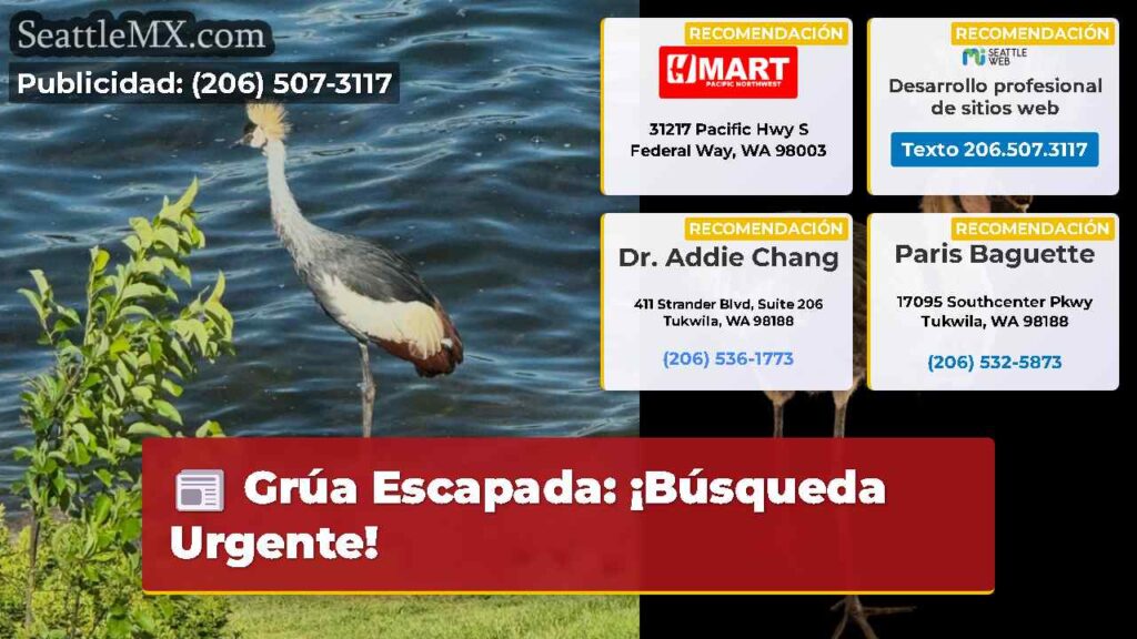 Grúa Escapada: ¡Búsqueda Urgente!