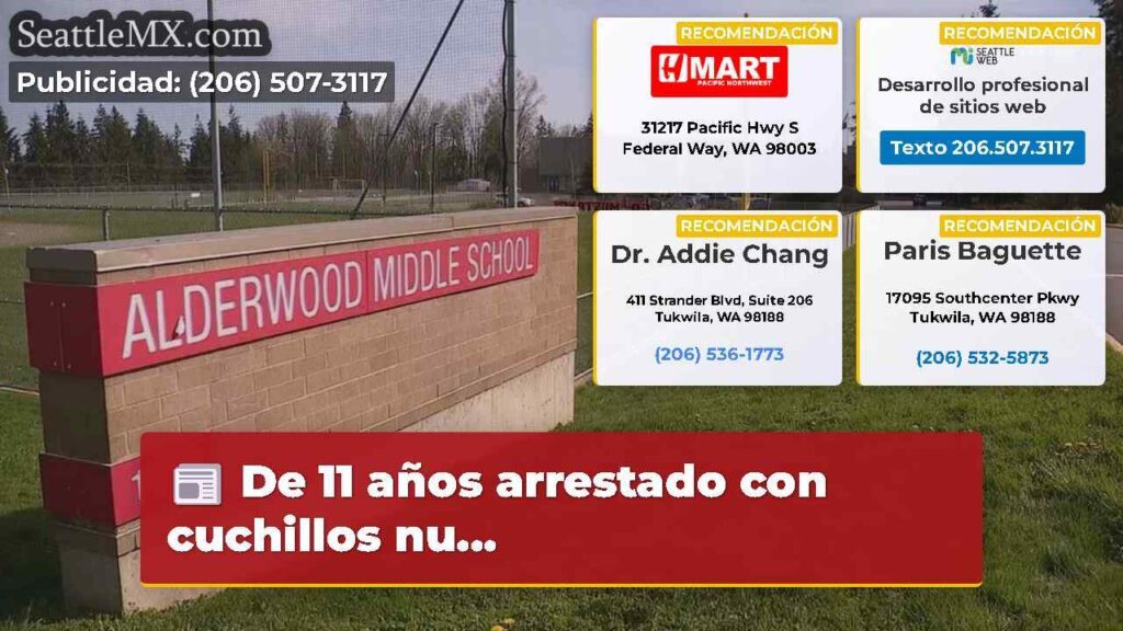 De 11 años arrestado con cuchillos nu...
