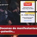 Docenas de manifestantes pro-palestin…