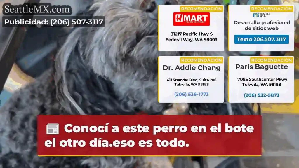 Conocí a este perro en el bote el otro día.eso es