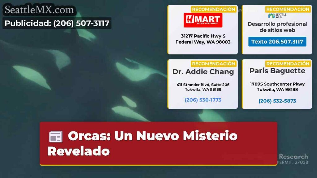 Orcas: Un Nuevo Misterio Revelado
