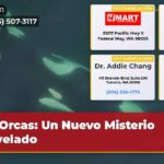 Orcas Un Nuevo Misterio Revelado