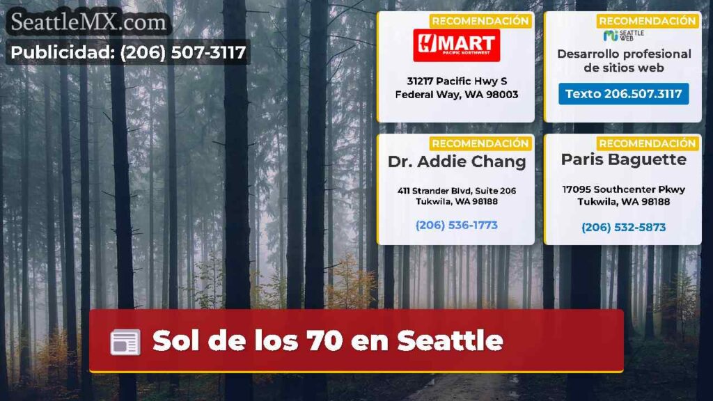 Sol de los 70 en Seattle