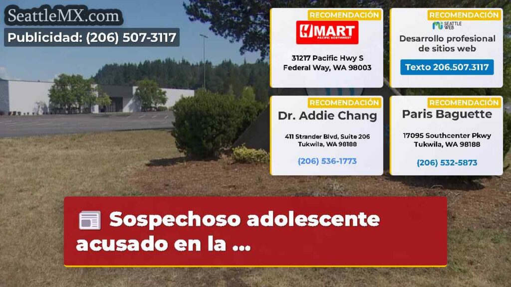 Sospechoso adolescente acusado en la ...