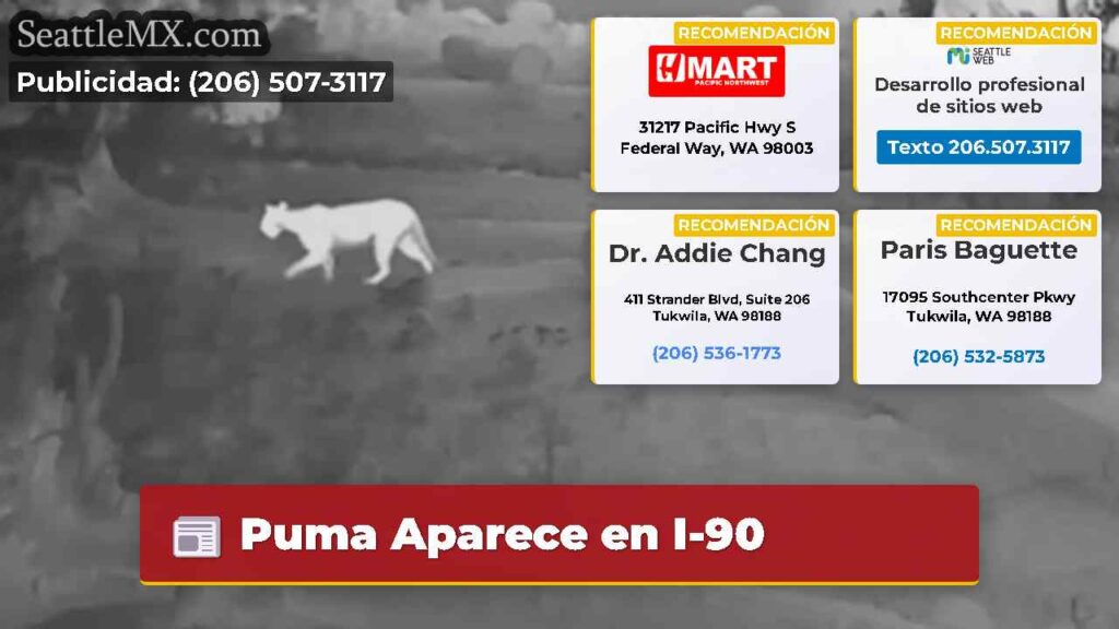 Puma Aparece en I-90