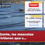 Gente las mascotas advirtieron que s…