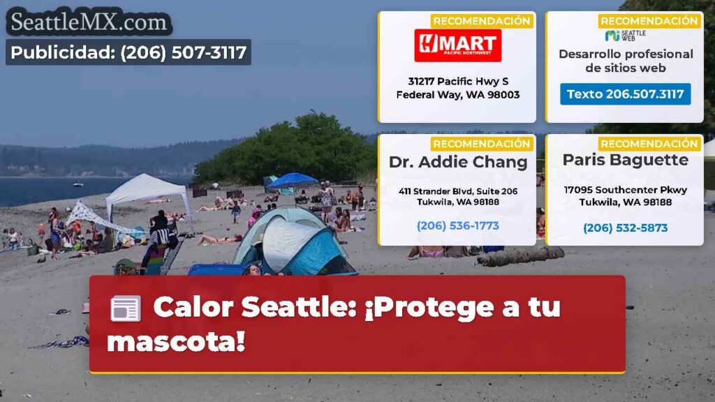 Calor Seattle: ¡Protege a tu mascota!