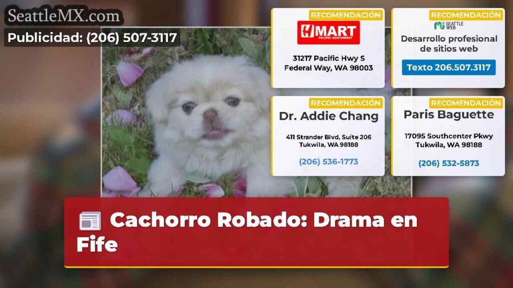 Cachorro Robado: Drama en Fife