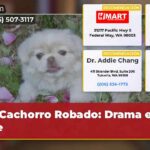 Cachorro Robado Drama en Fife