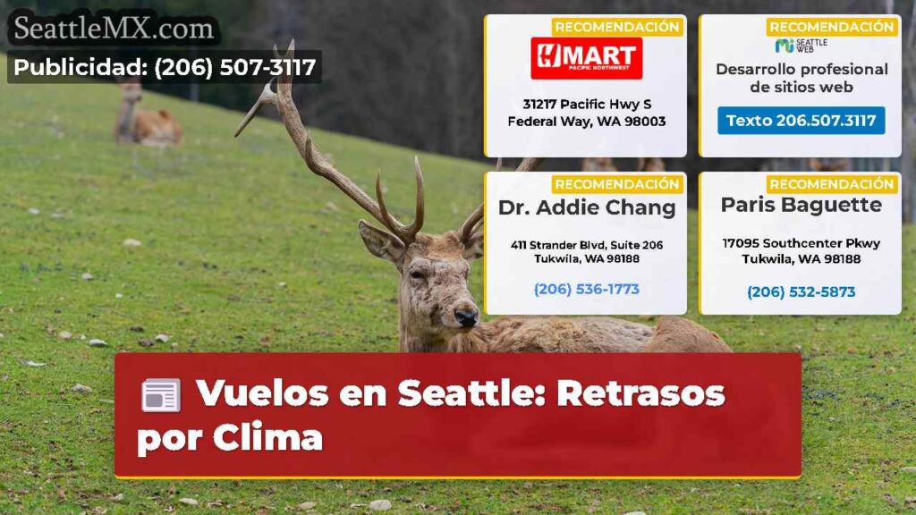 Vuelos en Seattle: Retrasos por Clima