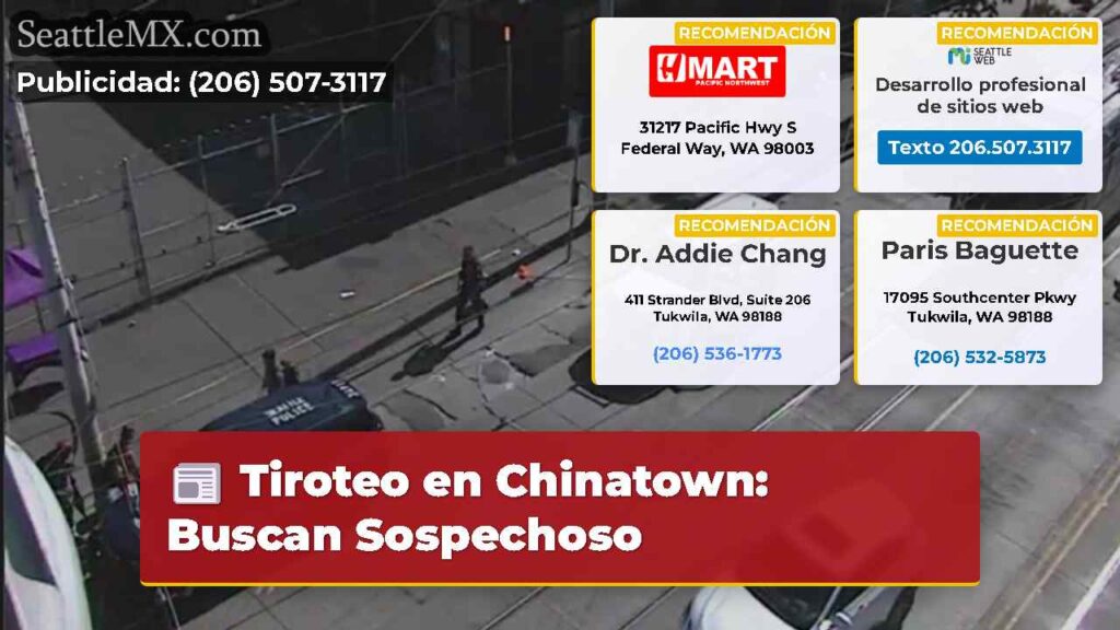 Tiroteo en Chinatown: Buscan Sospechoso