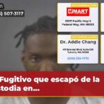Fugitivo que escapó de la custodia en…