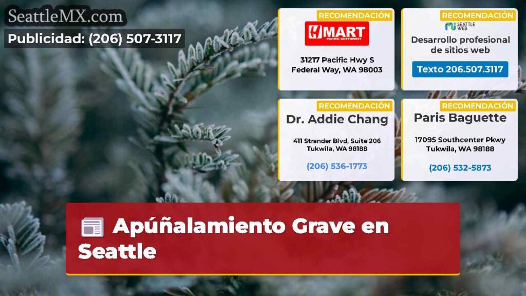 Apúñalamiento Grave en Seattle