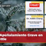 Apúñalamiento Grave en Seattle