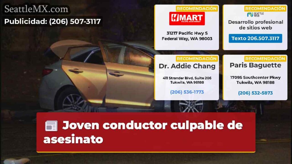 Joven conductor culpable de asesinato