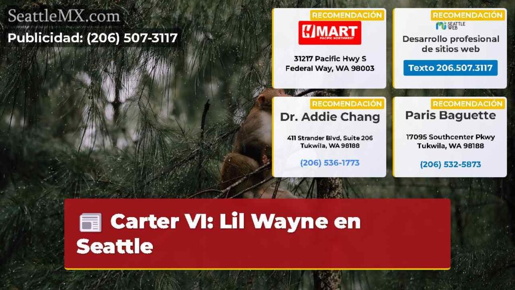 Carter VI: Lil Wayne en Seattle