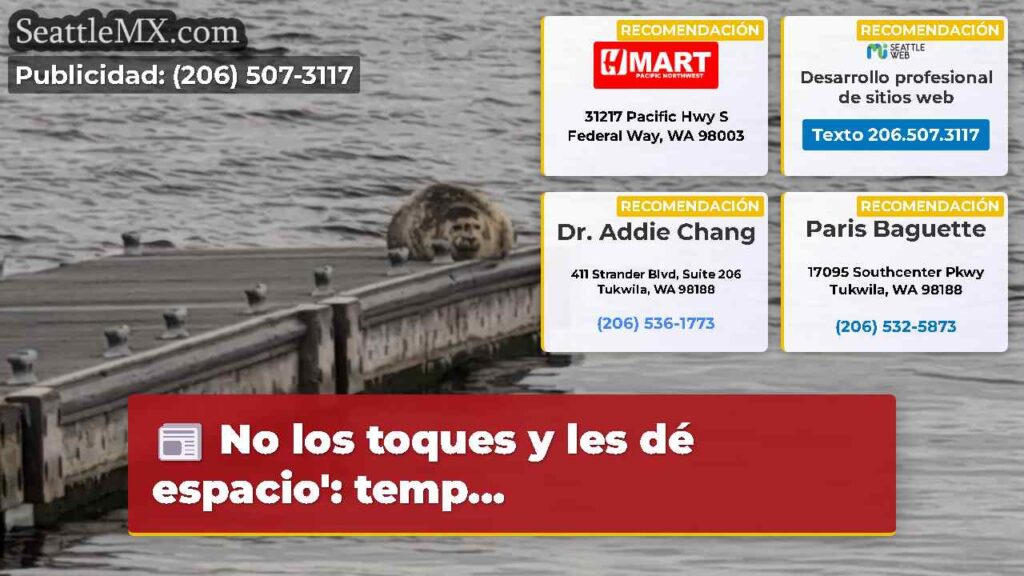 No los toques y les dé espacio': temp...