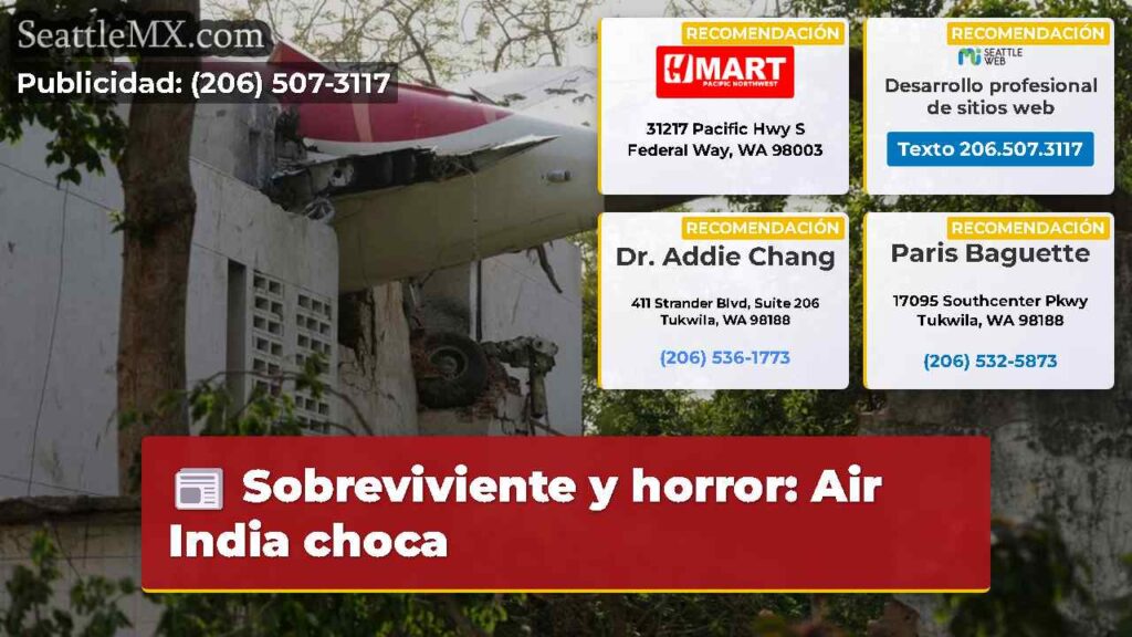 Sobreviviente y horror: Air India choca