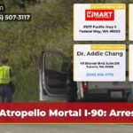 Atropello Mortal I-90 Arresto