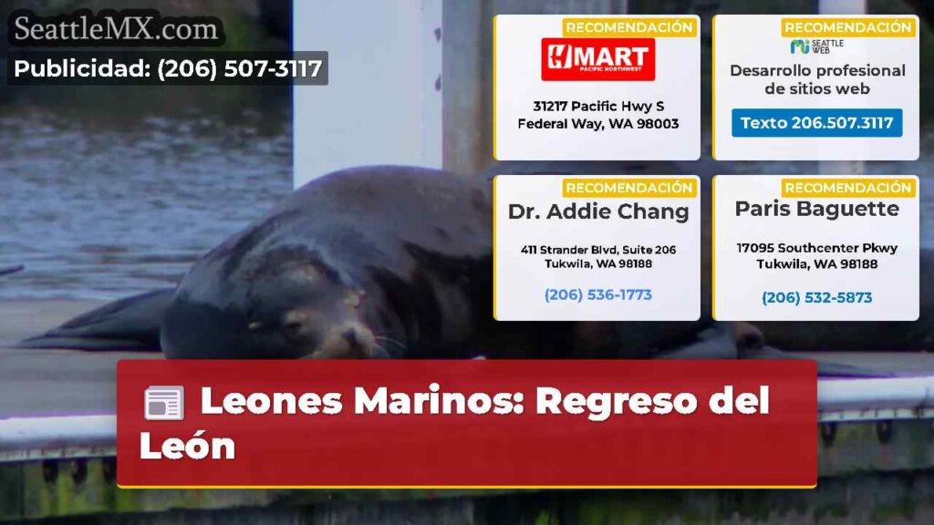 Leones Marinos: Regreso del León
