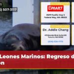 Leones Marinos Regreso del León