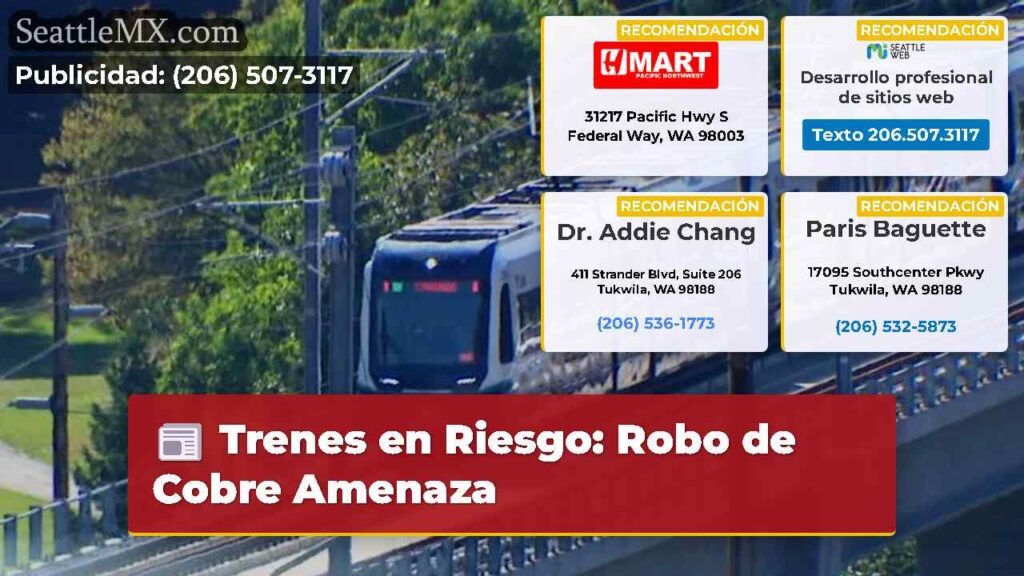 Trenes en Riesgo: Robo de Cobre Amenaza