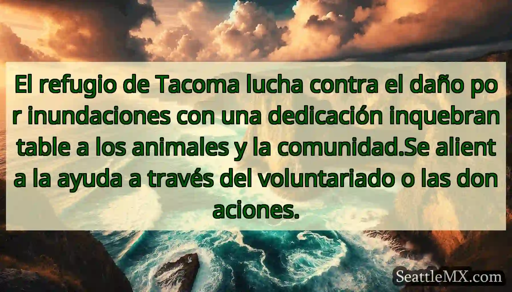 El refugio de Tacoma lucha contra el daño por