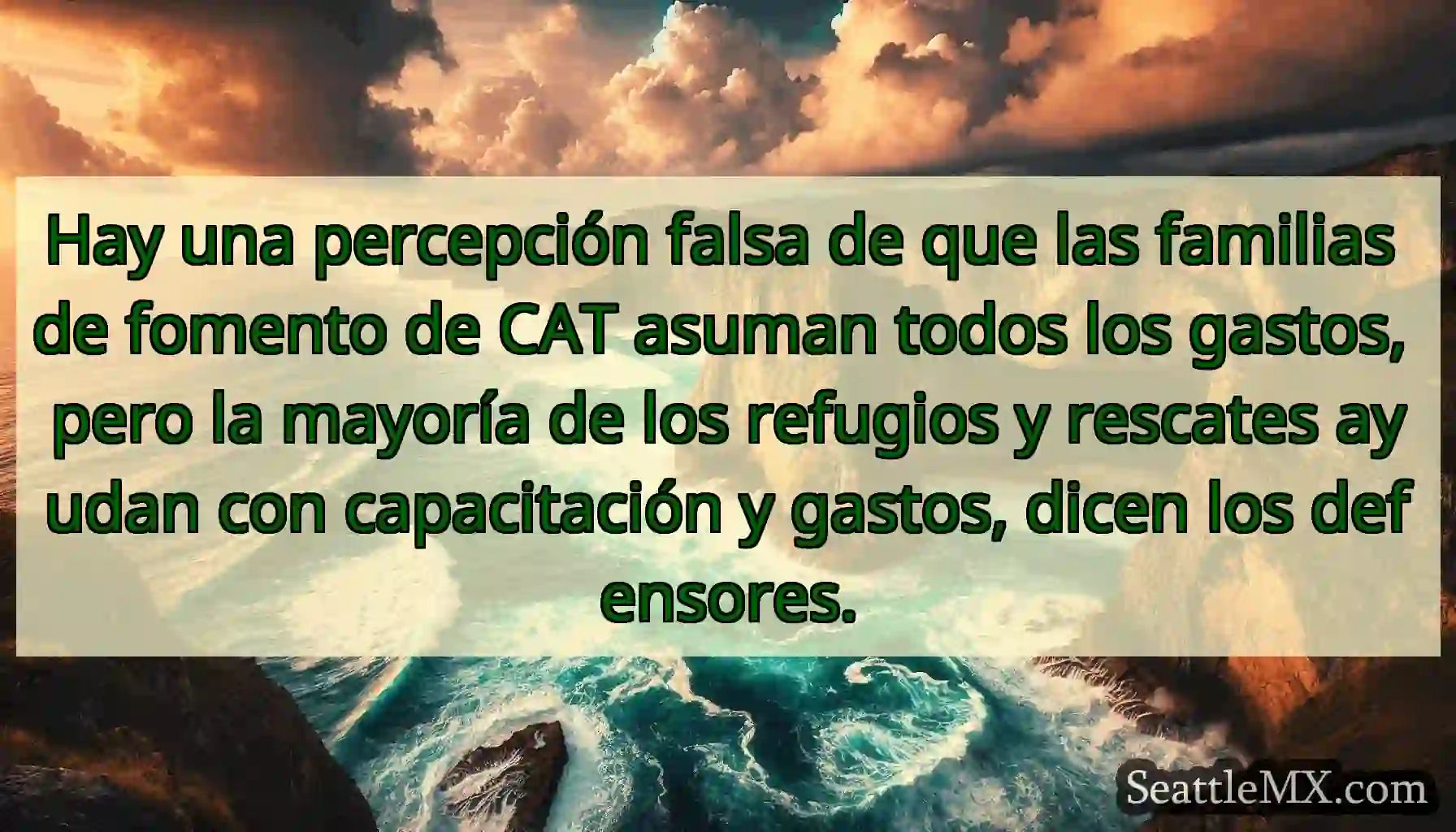 Hay una percepción falsa de que las familias de