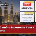 Camino Incorrecto Causa Muerte