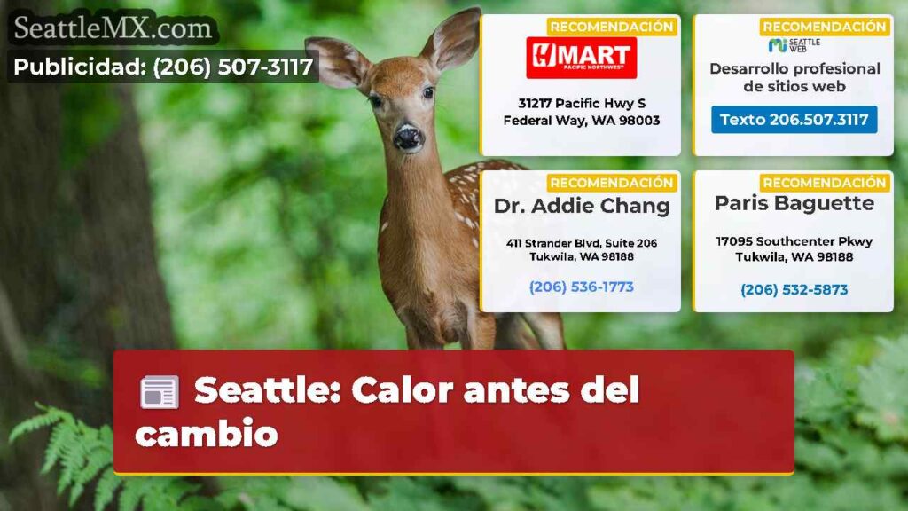 Seattle: Calor antes del cambio