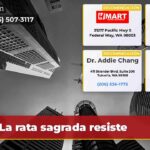 La rata sagrada resiste
