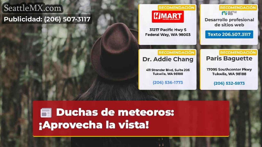 Duchas de meteoros: ¡Aprovecha la vista!