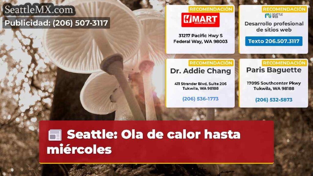Seattle: Ola de calor hasta miércoles