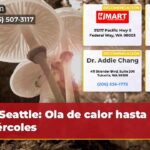 Seattle Ola de calor hasta miércoles