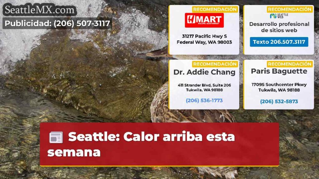Seattle: Calor arriba esta semana