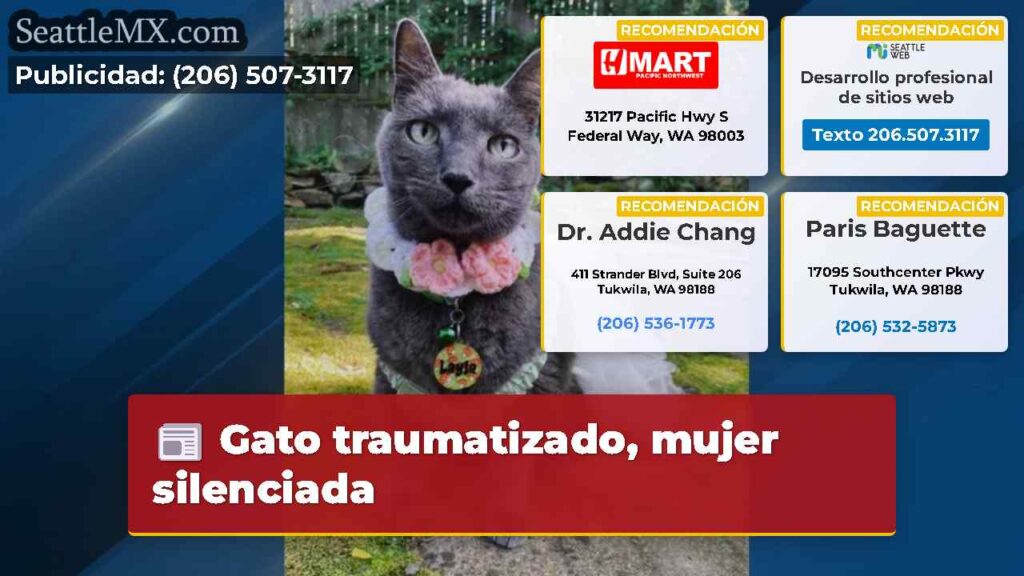 Gato traumatizado, mujer silenciada
