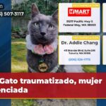 Gato traumatizado mujer silenciada