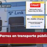 Perros en transporte público sí