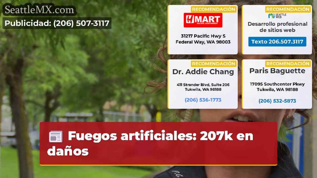 Fuegos artificiales: 207k en daños