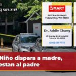 Niño dispara a madre arrestan al padre