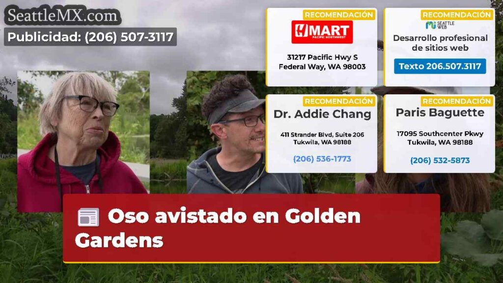 Oso avistado en Golden Gardens