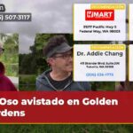Oso avistado en Golden Gardens