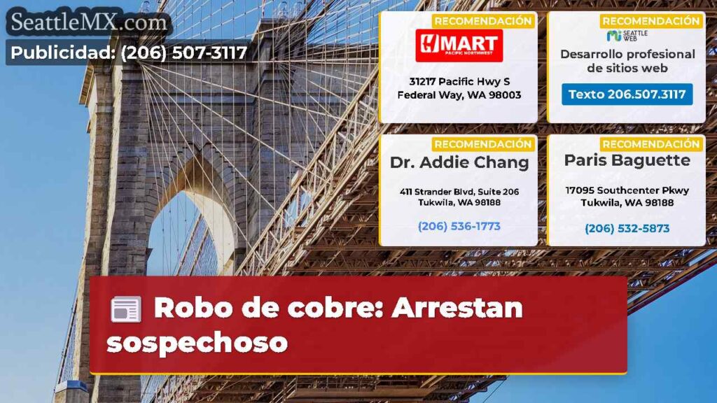 Robo de cobre: Arrestan sospechoso